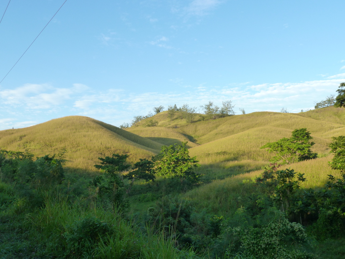 Photo Îles Fidji Nadi à Sigatoka 2010-05 9