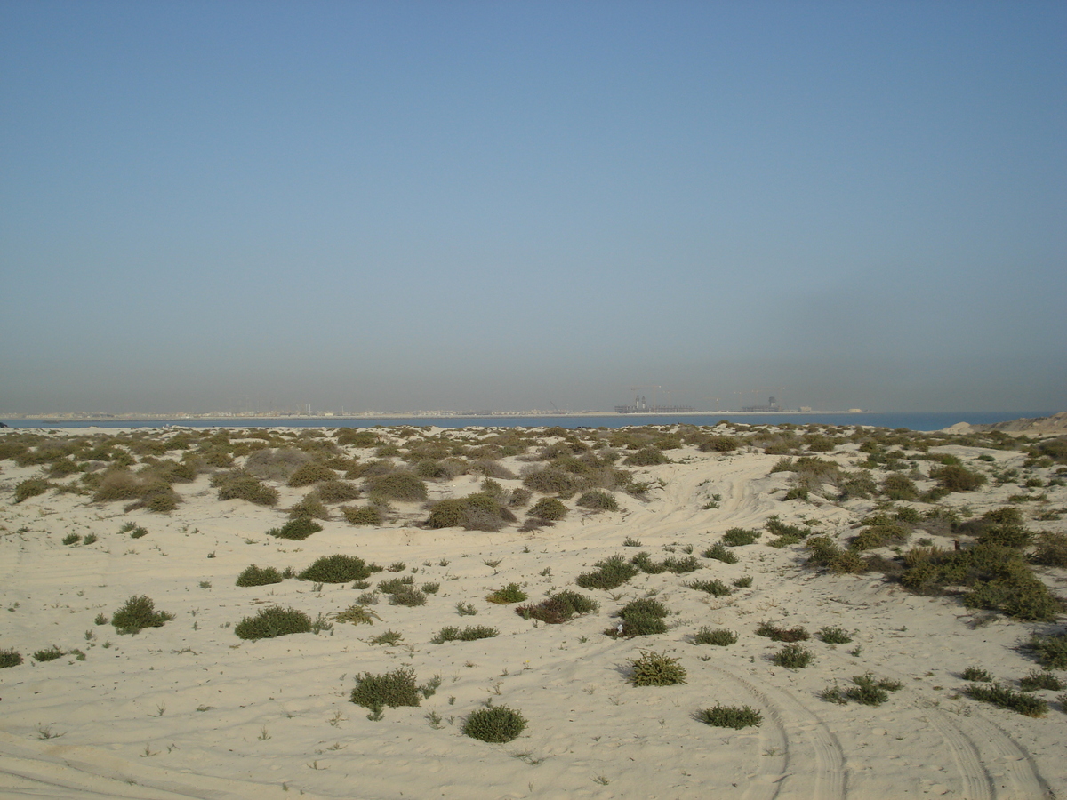 Photo Émirats arabes unis Dubai Plage de Jumeira 2007-03 28