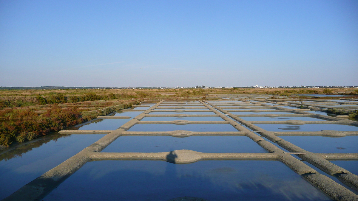 Photo France Guérande Les marais salants 2007-08 2