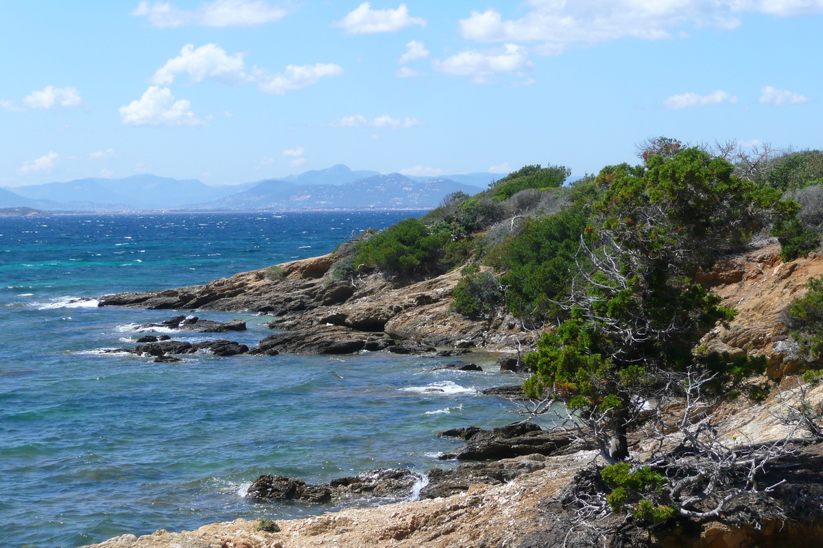 Photo France Ile de Porquerolles Plage du Lequin 2008-05 10