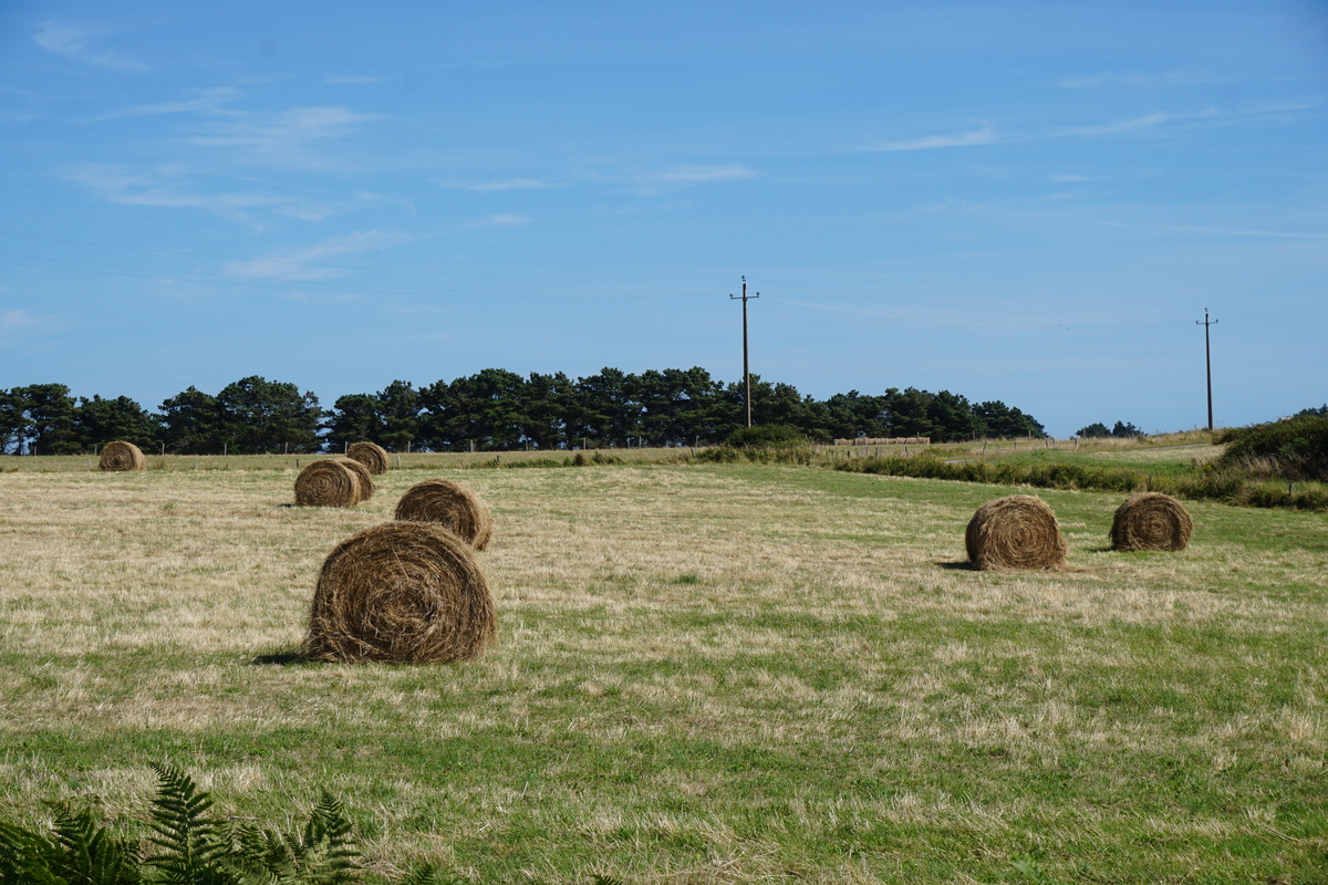 Photo France Belle-Ile 2016-08 248