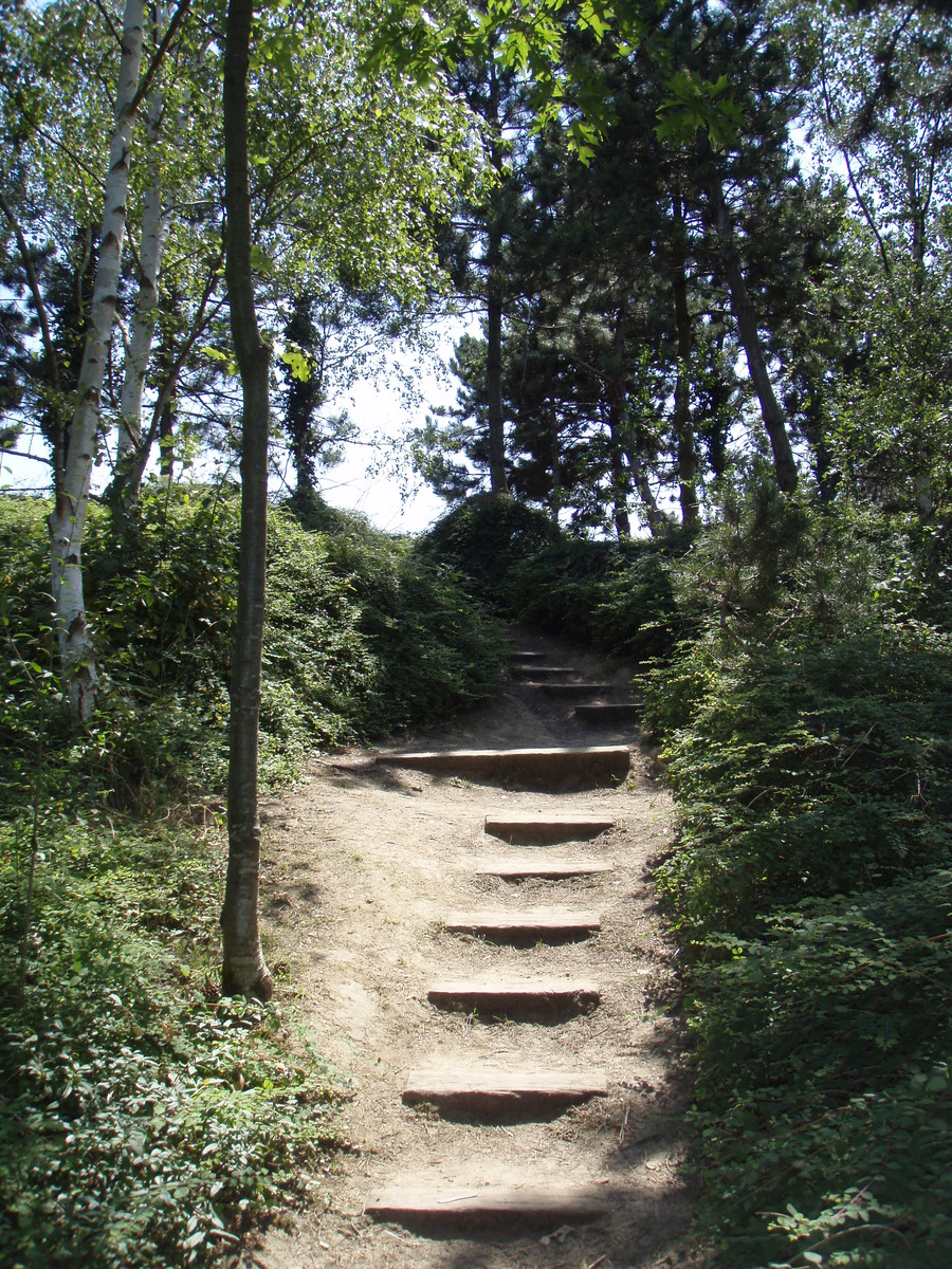 Photo France Villeneuve La Garenne Parc des Chanteraines 2007-07 49