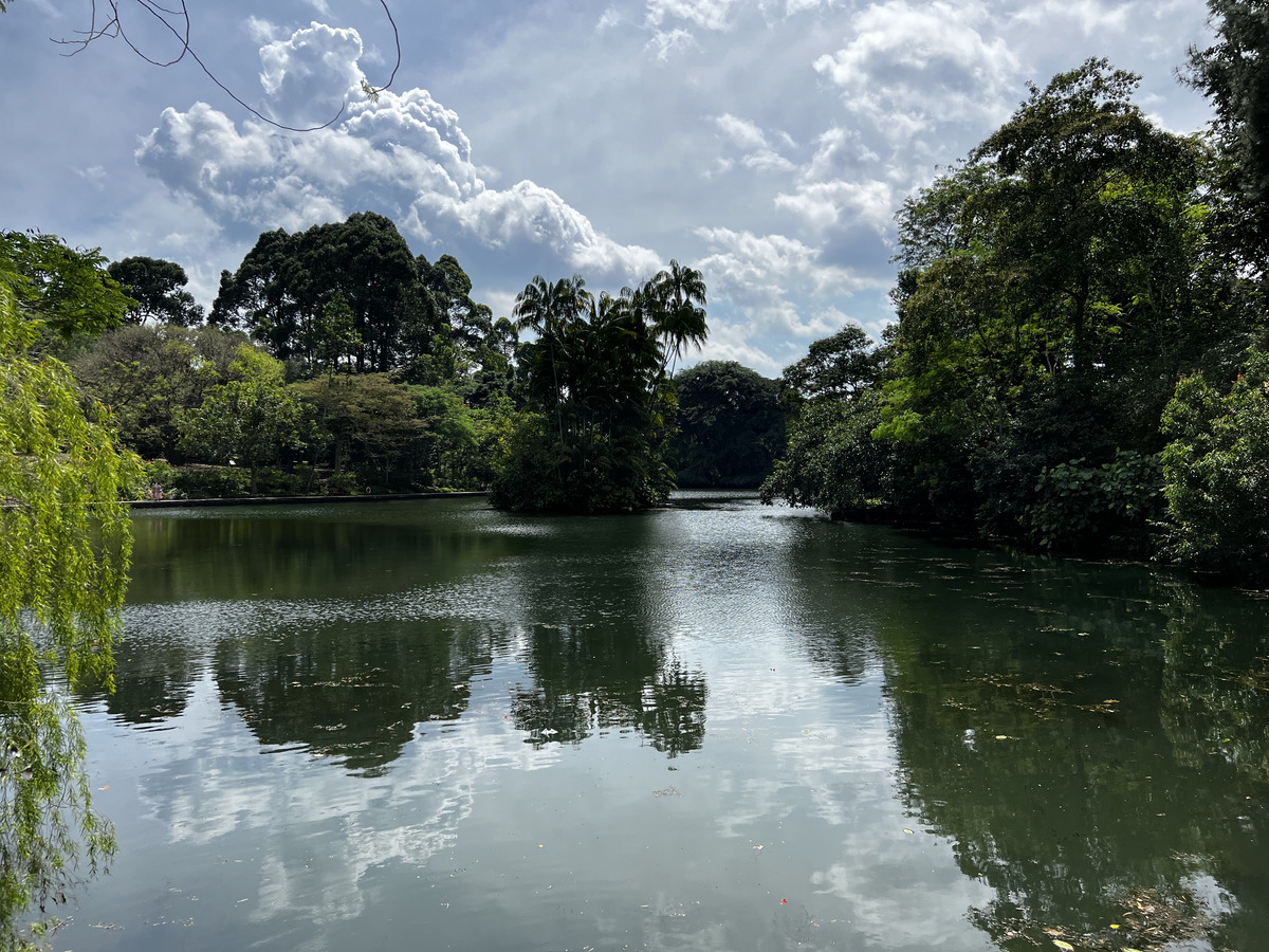Photo Singapour Jardins botaniques de Singapore 2023-01 13