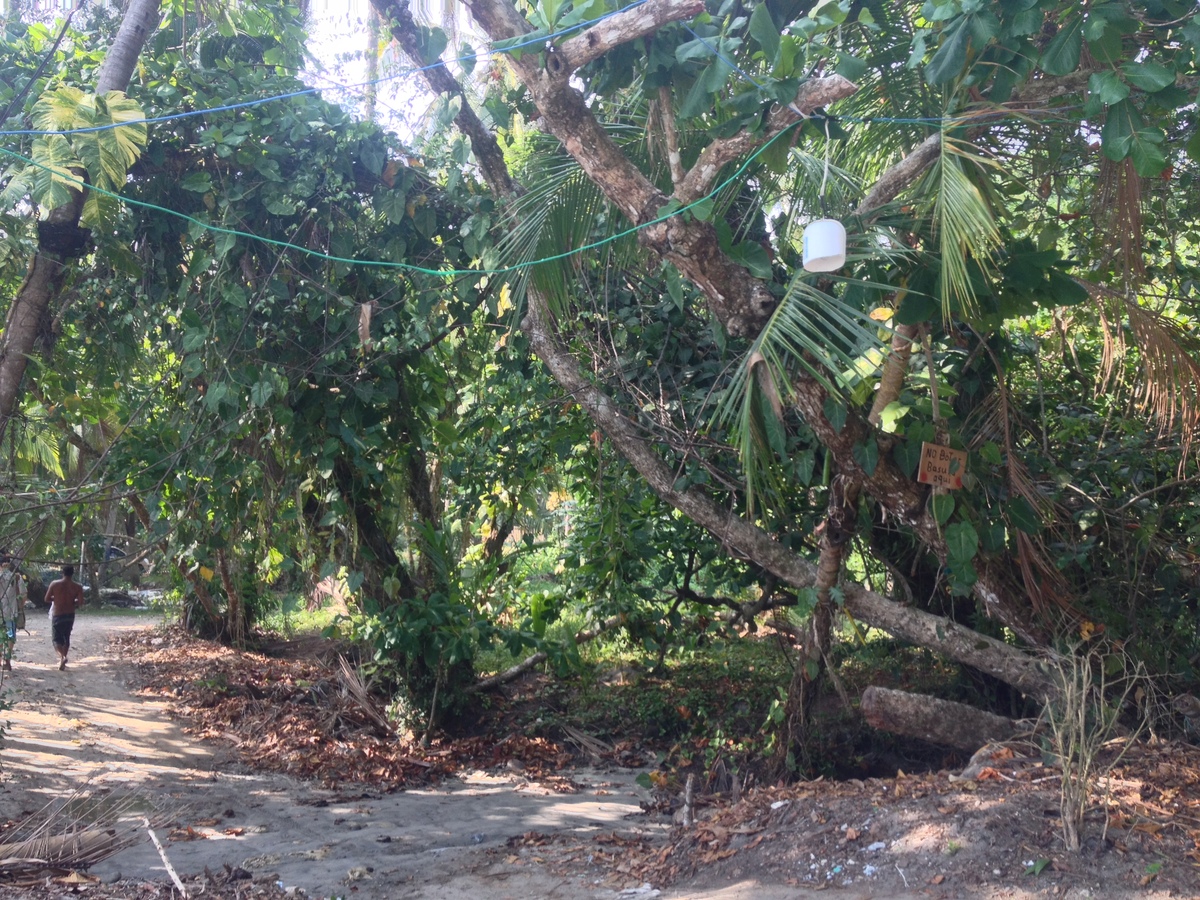 Photo Costa Rica Parc Manuel Antonio 2015-03 358