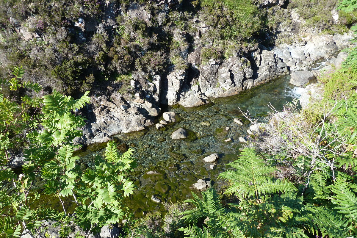 Photo Royaume-Uni Skye 2011-07 76
