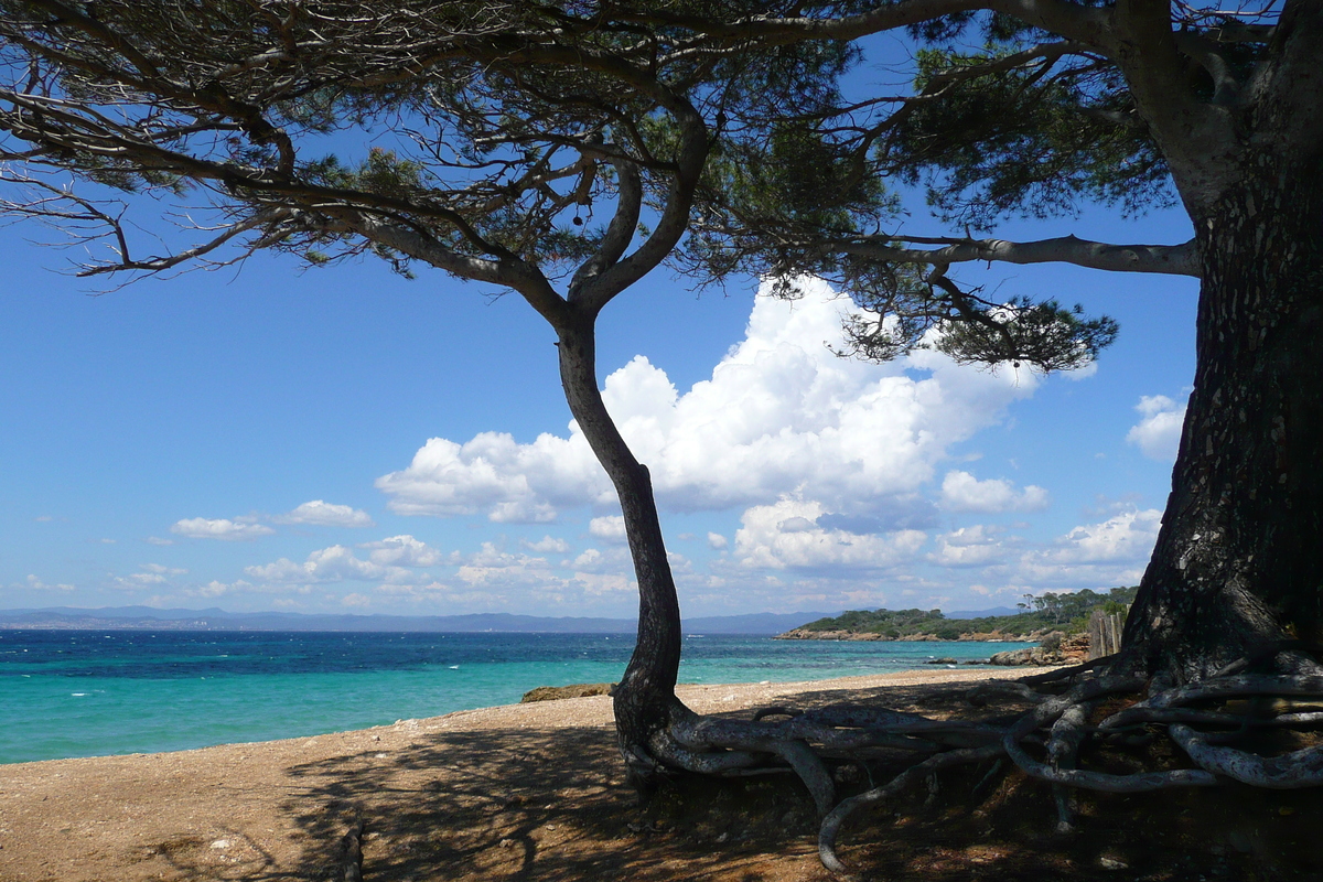 Photo France Ile de Porquerolles Plage de la Courtade 2008-05 1
