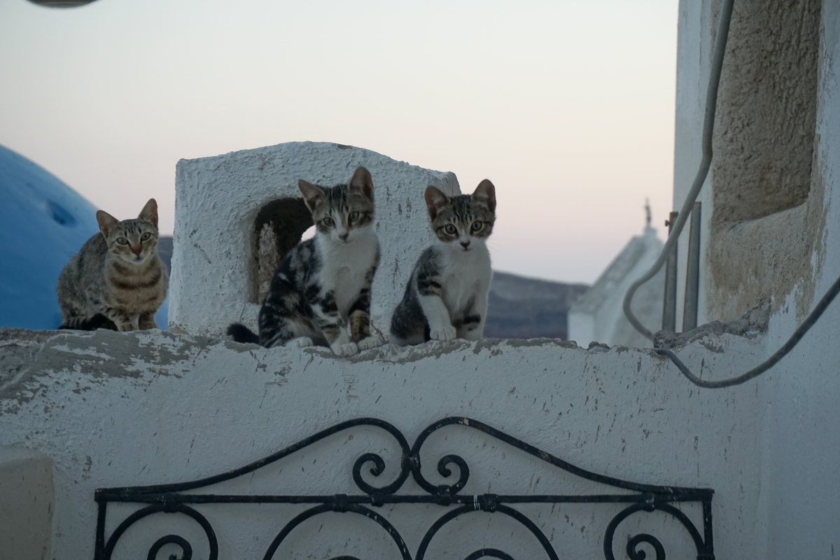 Photo Grèce Santorin 2016-07 82