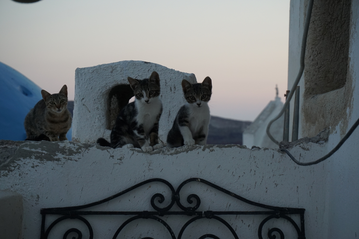 Photo Grèce Santorin Oia cave house 2016-07 19