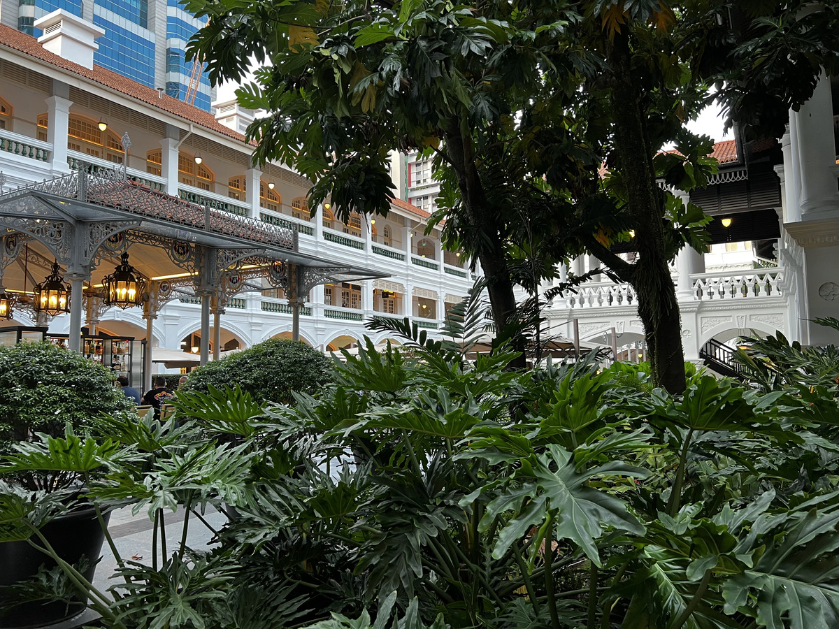 Photo Singapour Hotel Raffles Singapore 2023-01 9