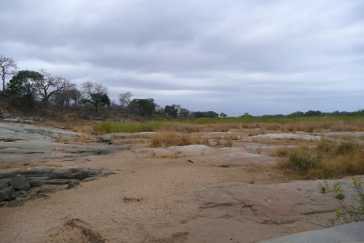 Photo Afrique du Sud Parc National Kruger Rivière Sable 2008-09 19