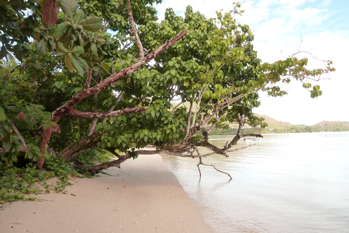 Photo Seychelles Anse Possession 2011-10 37