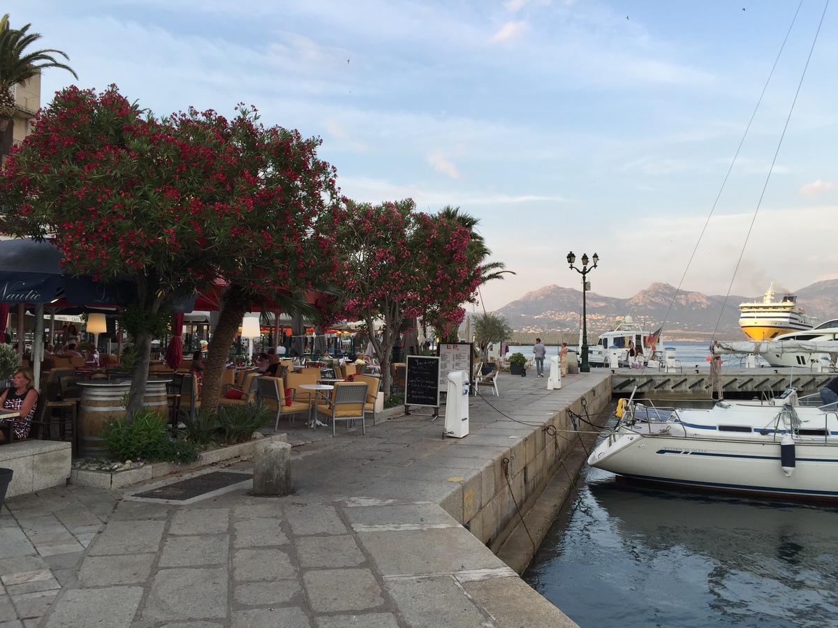 Photo France Corse Calvi 2015-05 45
