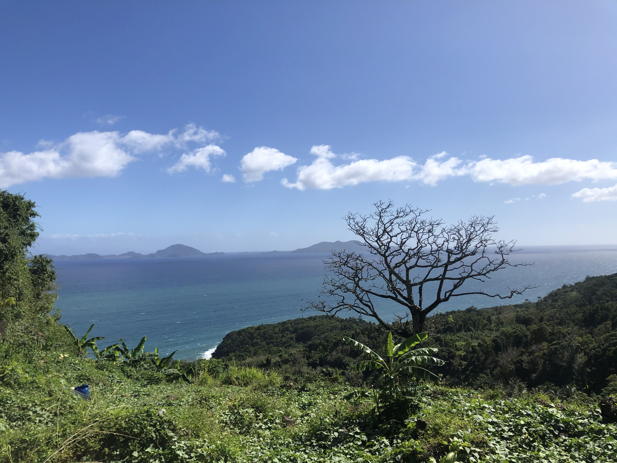 Photo Guadeloupe Trois Rivières 2021-02 10