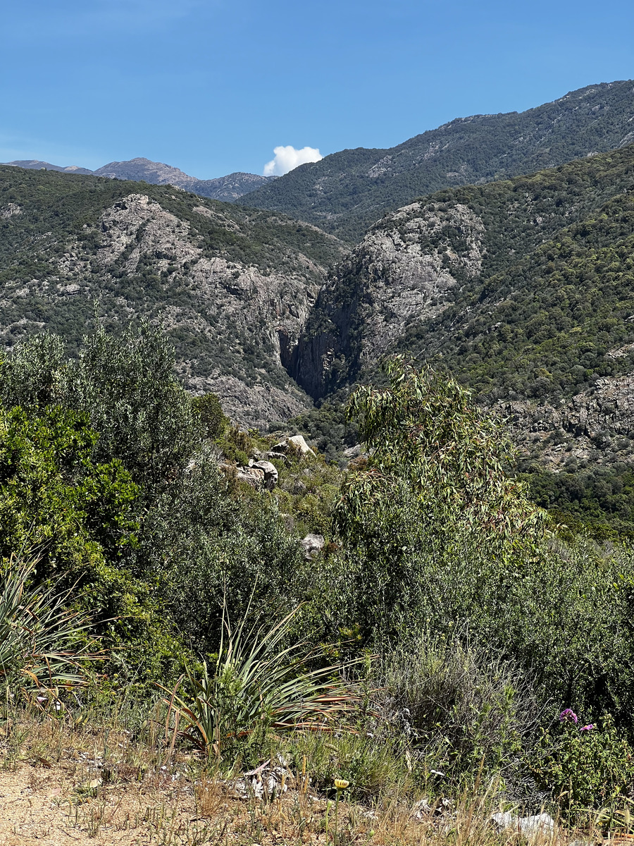 Photo France Corse Capo Rosso 2023-05 18
