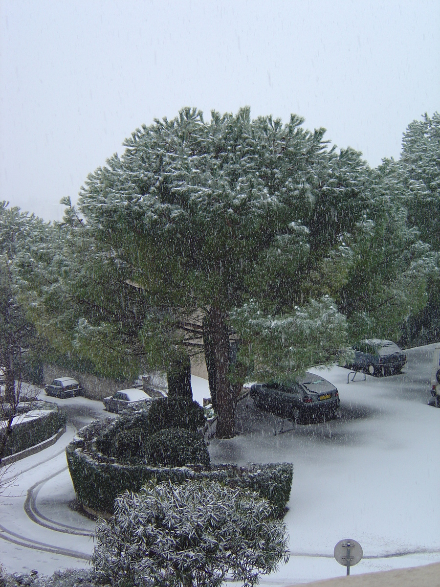 Photo France Vence 2005-02 25