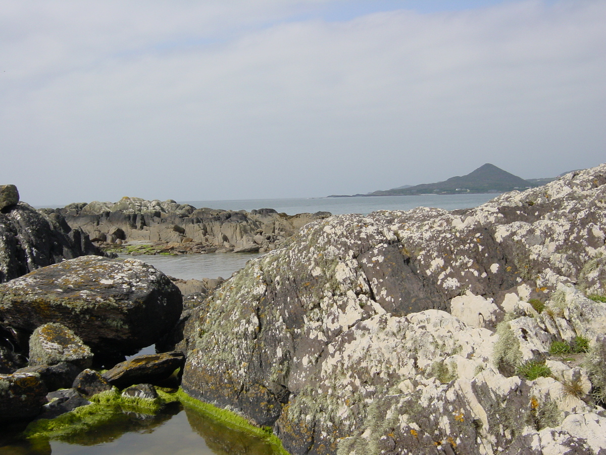 Photo Irlande Kerry Parknasilla 2004-05 48