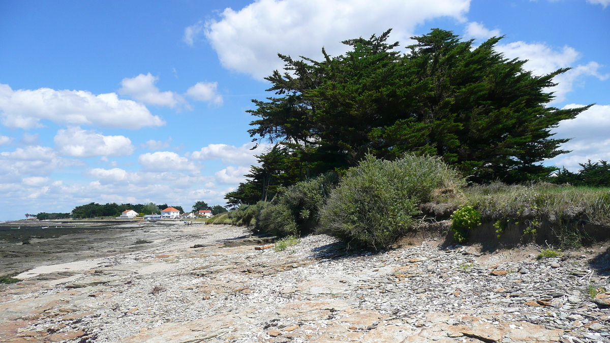 Photo France Préfailles La pointe Saint Gildas à La Pree 2007-08 57