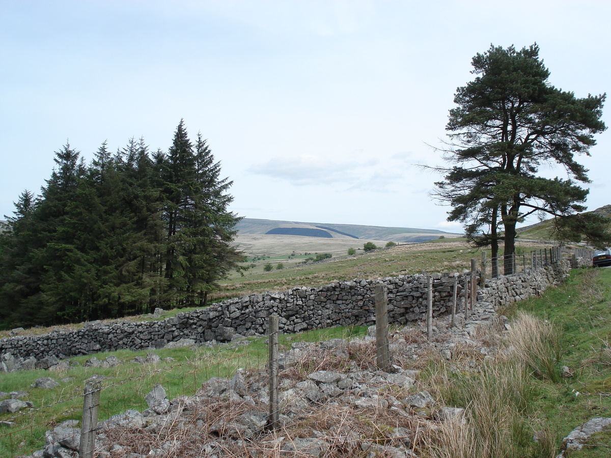 Photo Royaume-Uni Parc national des Brecon Beacons 2006-05 26