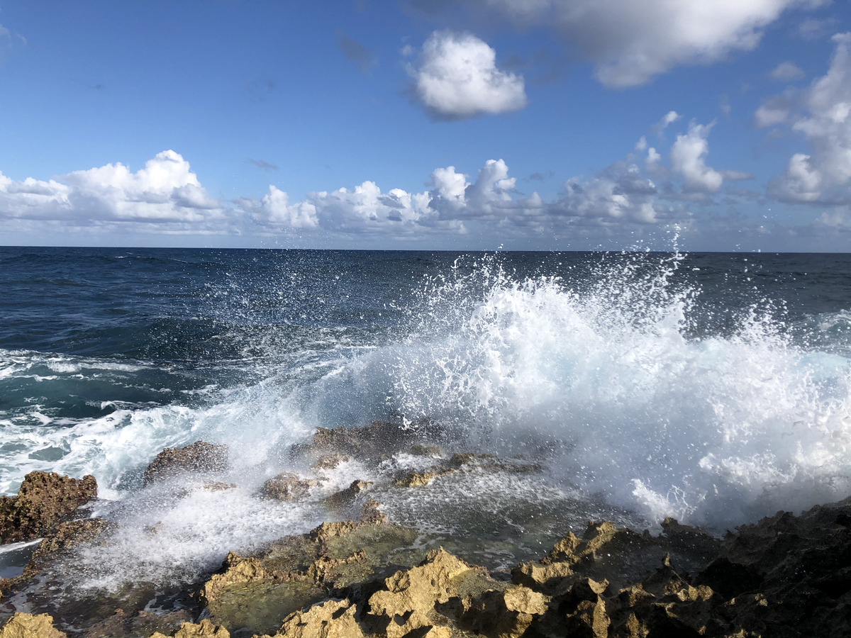 Photo Guadeloupe Pointe des Châteaux 2021-02 299