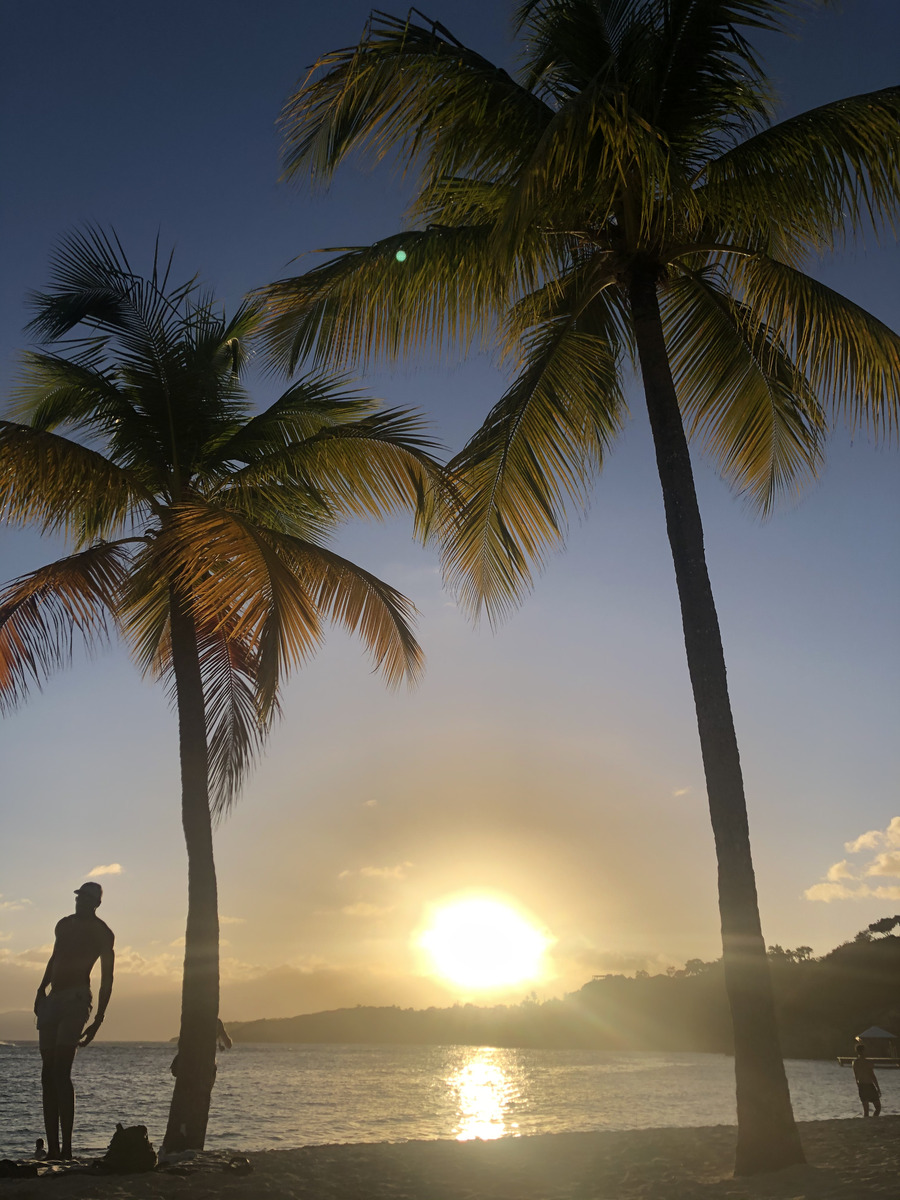 Photo Guadeloupe Plage de la Caravelle 2021-02 91