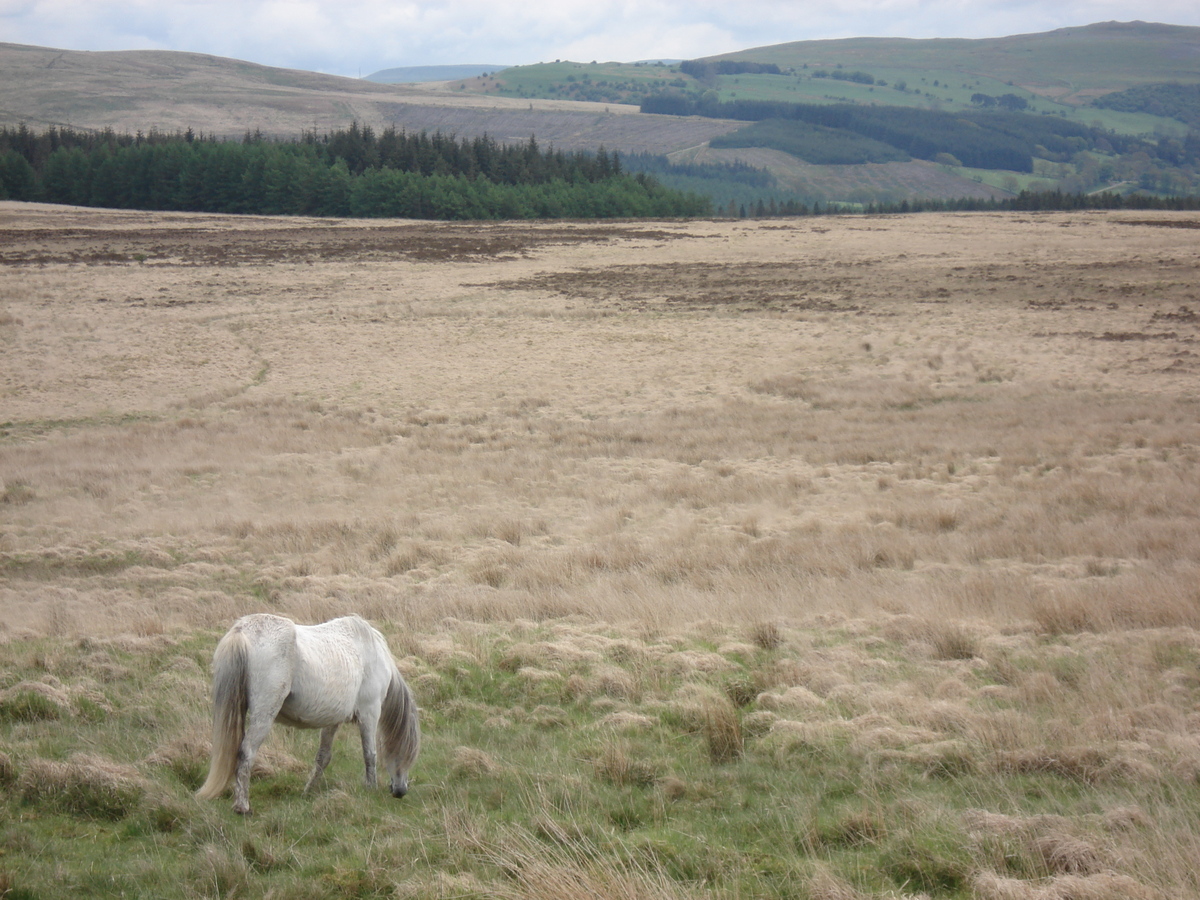 Photo Royaume-Uni Parc national des Brecon Beacons 2006-05 17