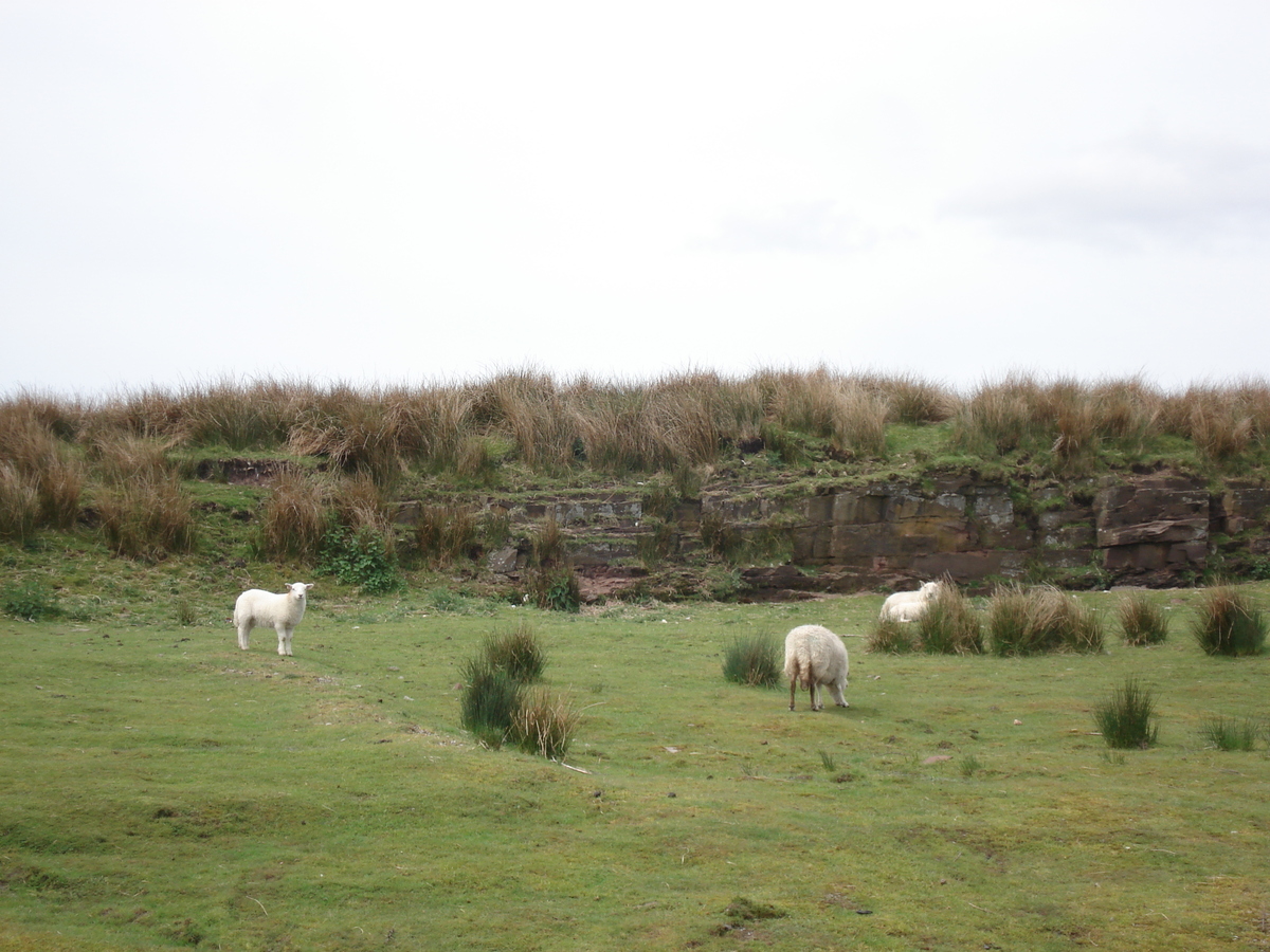 Photo Royaume-Uni Parc national des Brecon Beacons 2006-05 27
