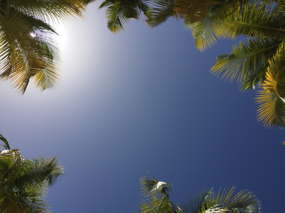 Photo Guadeloupe Plage de la Caravelle 2021-02 41