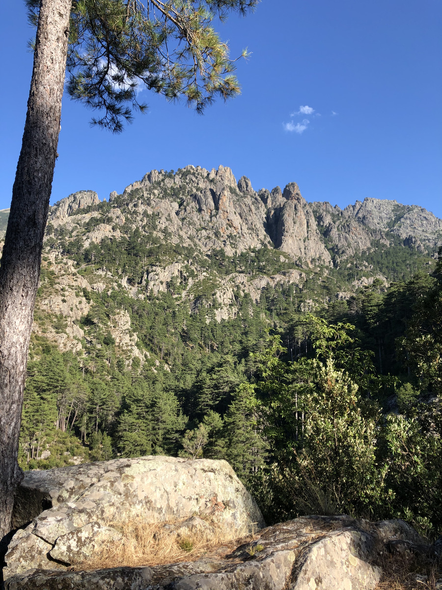 Photo France Corse La Restonica 2020-07 123