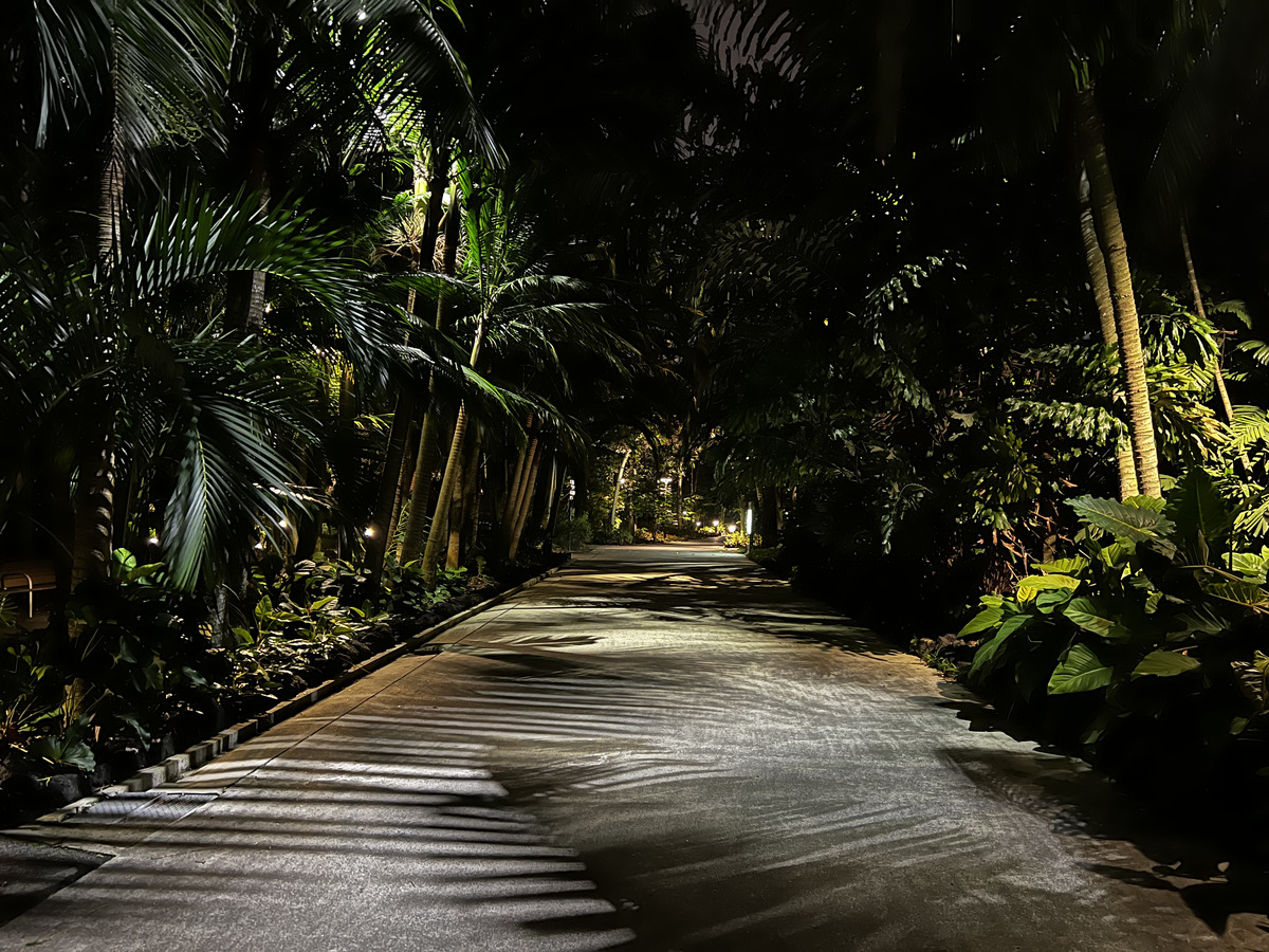Photo Singapour Garden by the bay 2023-01 8