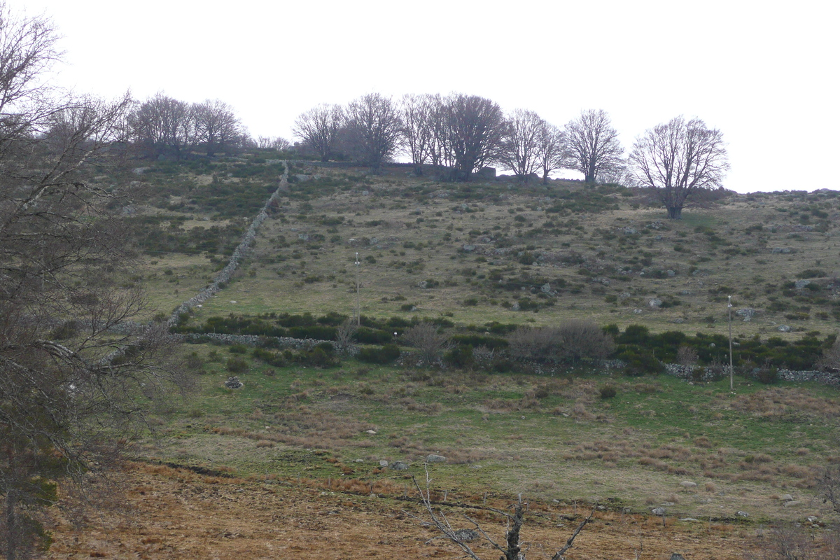 Photo France Plateau de L'Aubrac 2008-04 49