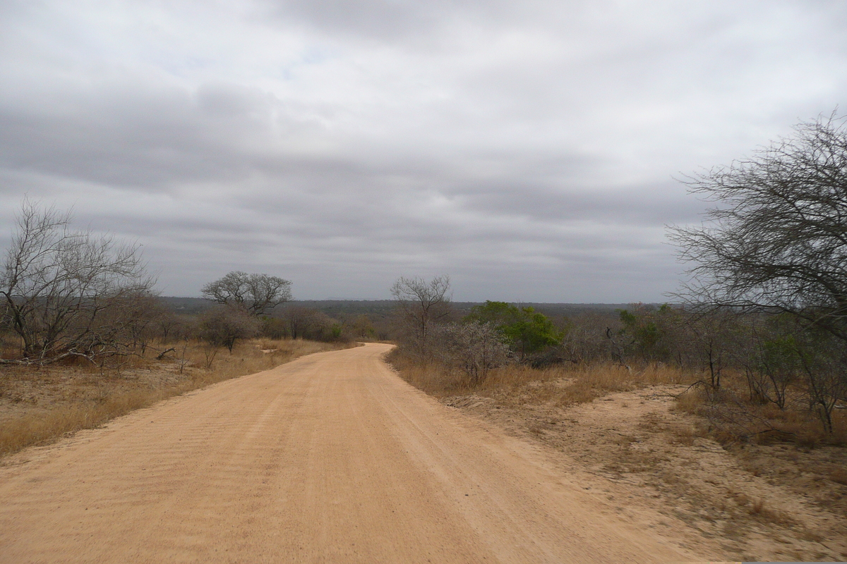 Photo Afrique du Sud Parc National Kruger 2008-09 189