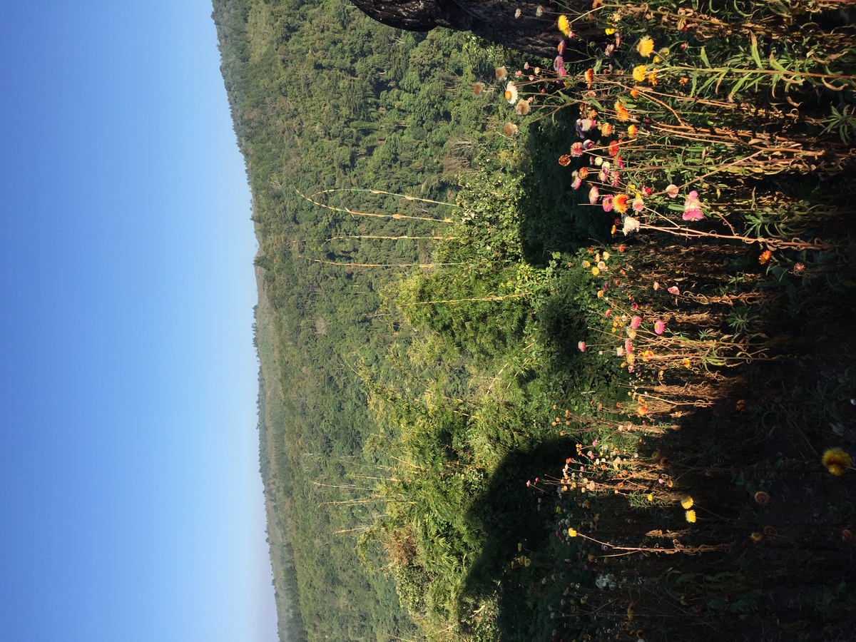 Photo Thaïlande Parc National Phu Hin Rong Kla 2014-12 430