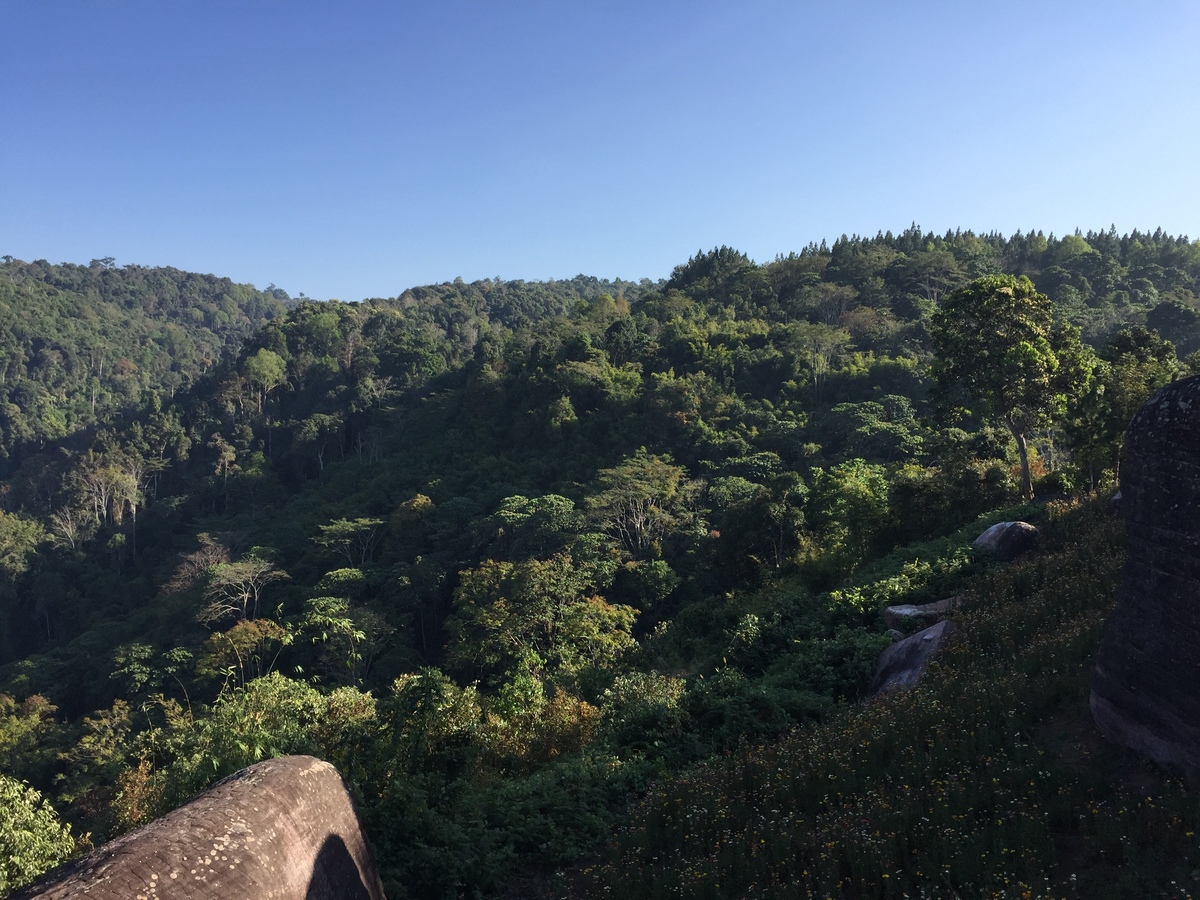 Photo Thaïlande Parc National Phu Hin Rong Kla 2014-12 21