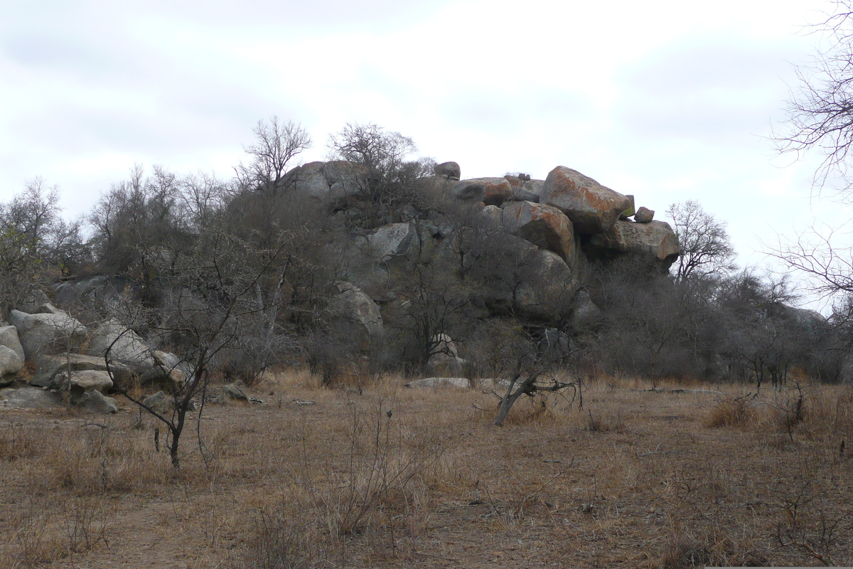Photo Afrique du Sud Parc National Kruger 2008-09 18