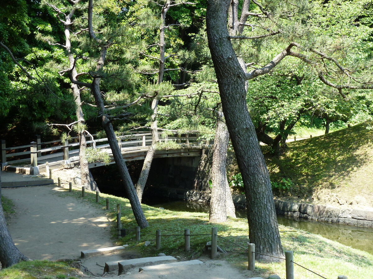 Photo Japon Tokyo Jardins Hama rikyu 2010-06 112