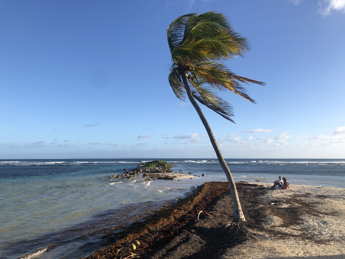 Photo Guadeloupe Plage de la Caravelle 2021-02 11