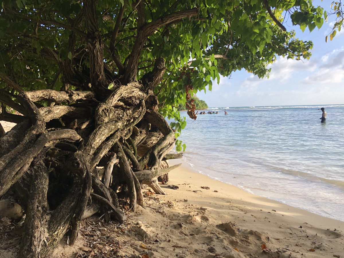 Photo Guadeloupe Plage de Petit Havre 2021-02 17