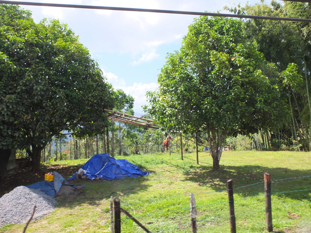 Photo Costa Rica Turrialba 2015-03 54
