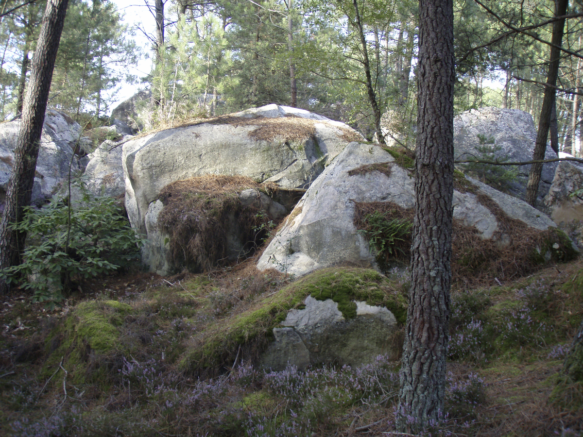 Photo France Fontainebleau Circuit des 25 bosses 2007-08 40