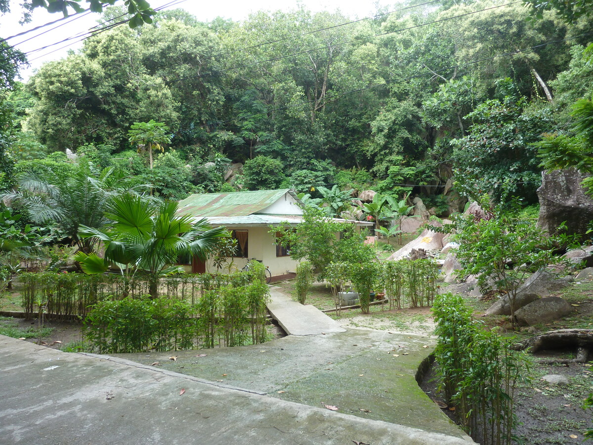 Photo Seychelles La Digue 2011-10 39