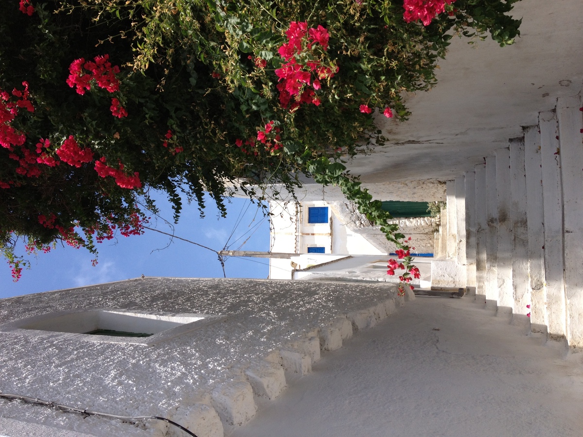 Photo Grèce Amorgos 2014-07 332