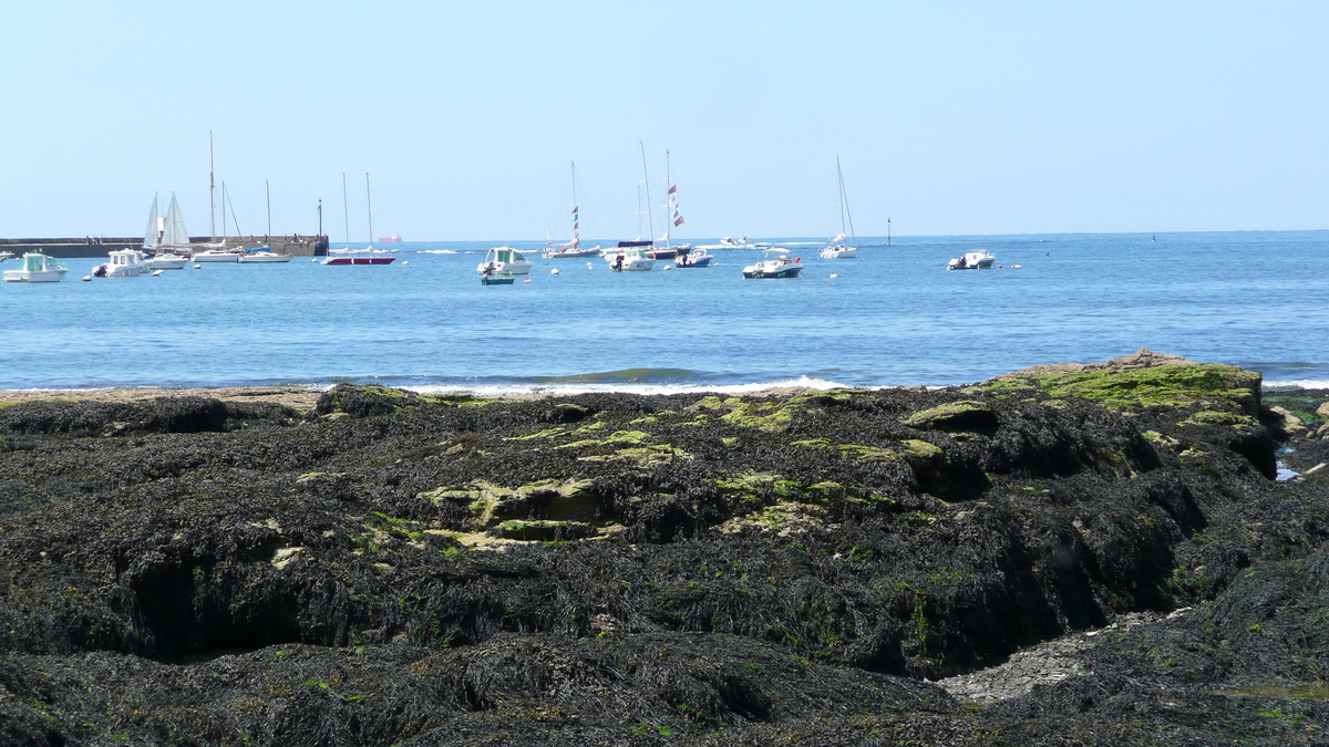 Photo France Préfailles La pointe Saint Gildas à La Pree 2007-08 15