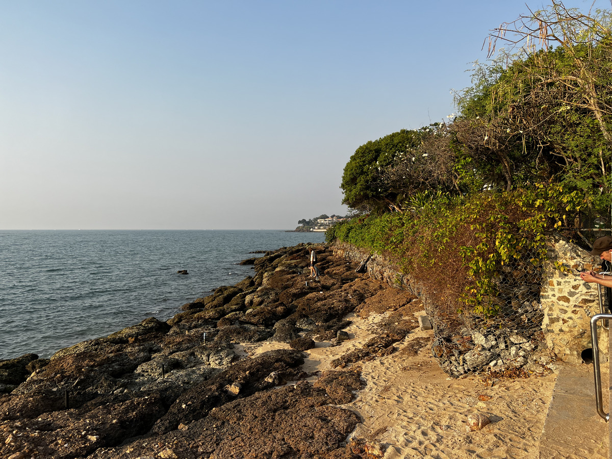Photo Thaïlande Pattaya 2023-01 10