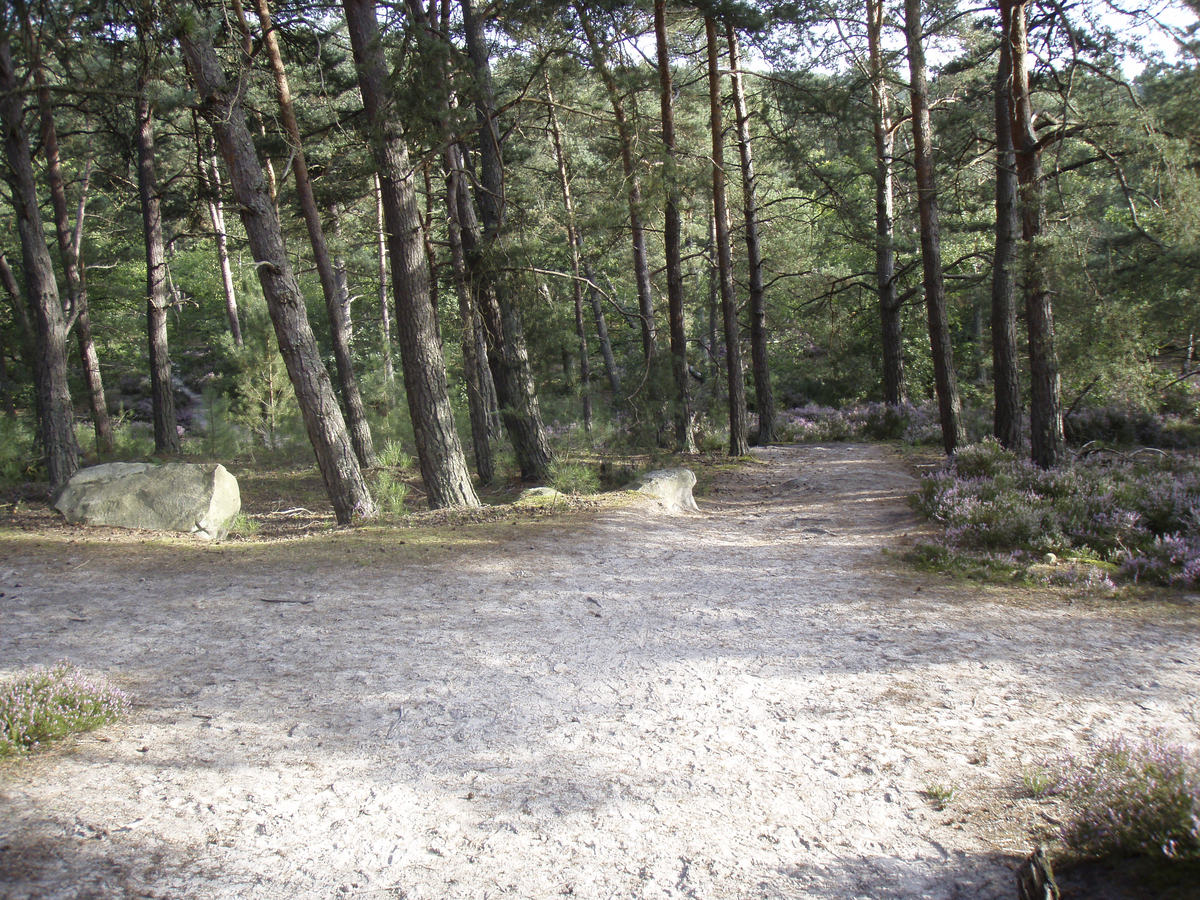 Photo France Fontainebleau Circuit des 25 bosses 2007-08 80