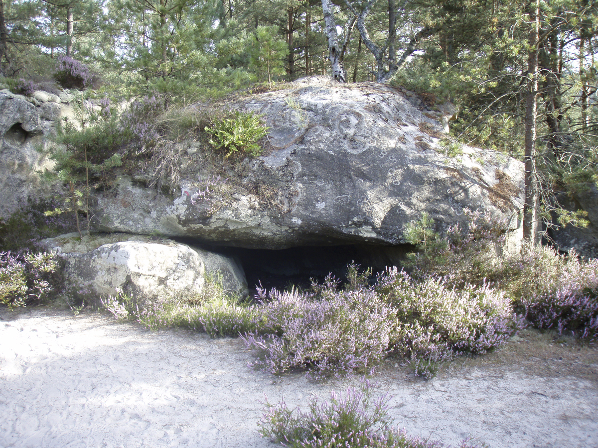 Photo France Fontainebleau Circuit des 25 bosses 2007-08 66