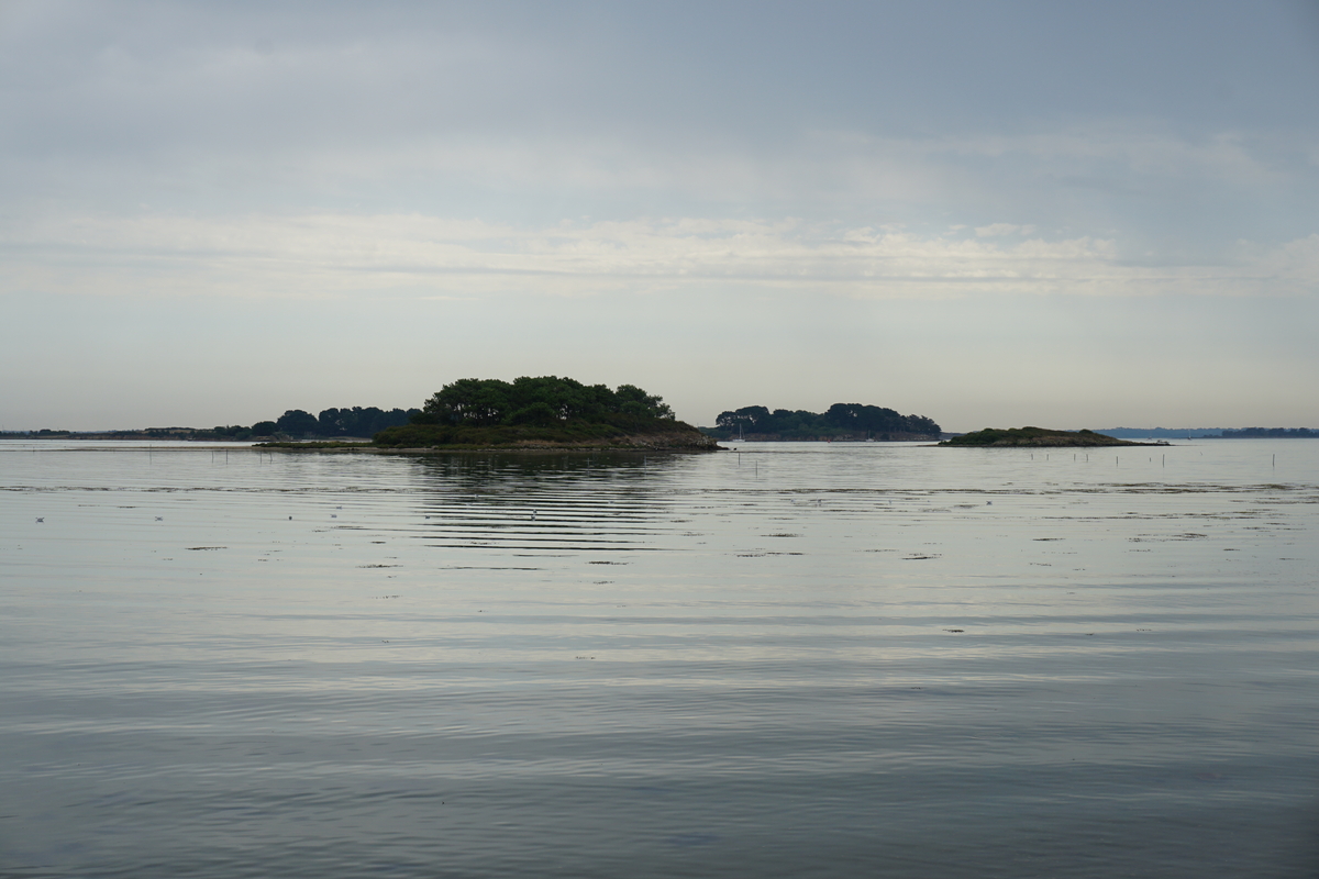 Photo France Île-aux-Moines 2016-08 12
