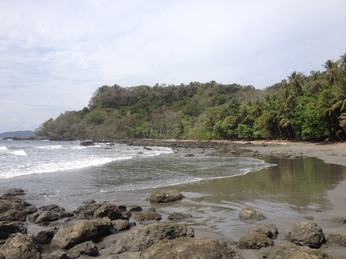 Photo Costa Rica Montezuma 2015-03 226