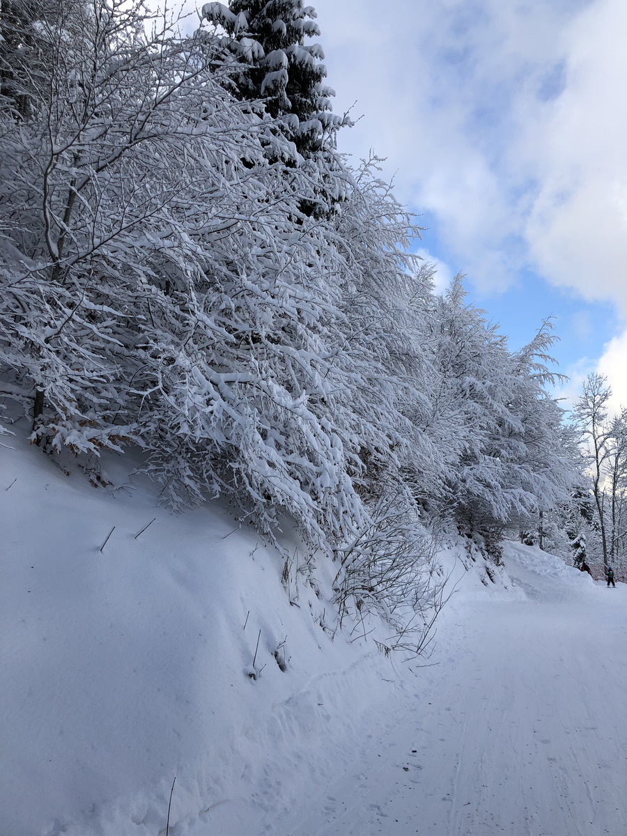 Photo France La Clusaz 2017-12 316