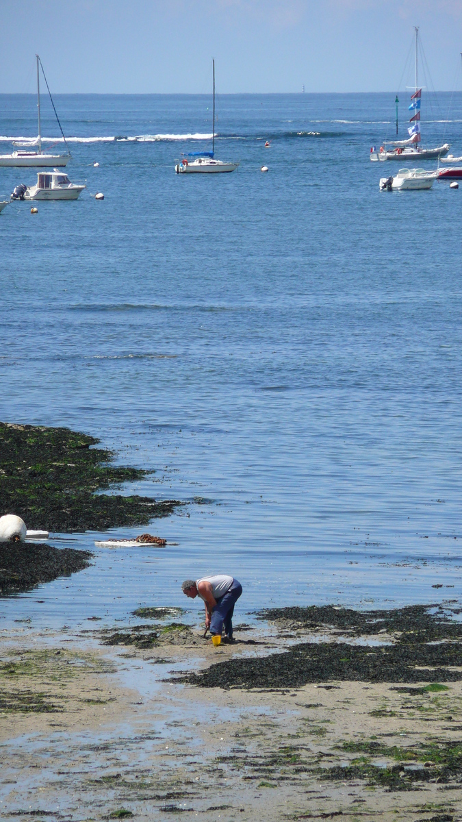 Photo France Préfailles La pointe Saint Gildas 2007-08 66