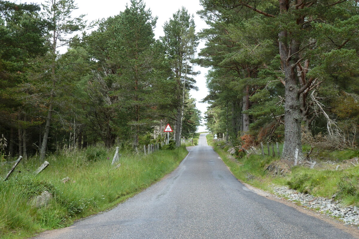 Photo Royaume-Uni Les Cairngorms 2011-07 33